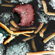 El Bacillus Antracis, visto al microscopio electrónico. Foto: Wikimedia Commons.